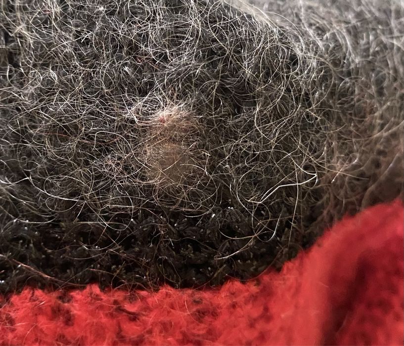 Пуловер Lio Jo