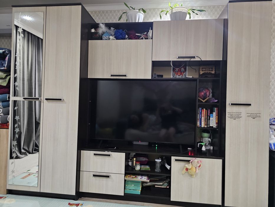 Шкаф от Евромебель