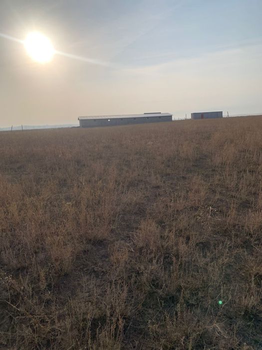 Продается участок 7 гектар срочно