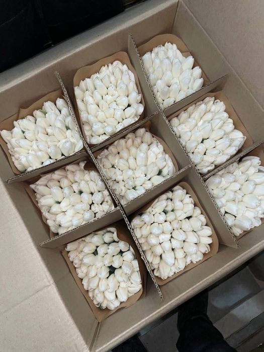 От 600 тенге Предзаказ Тюльпаны к 8 Марта