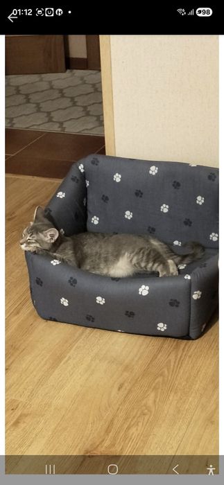 Продам домик для животных