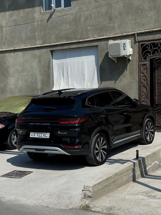 BVD chempion 605 tali toza