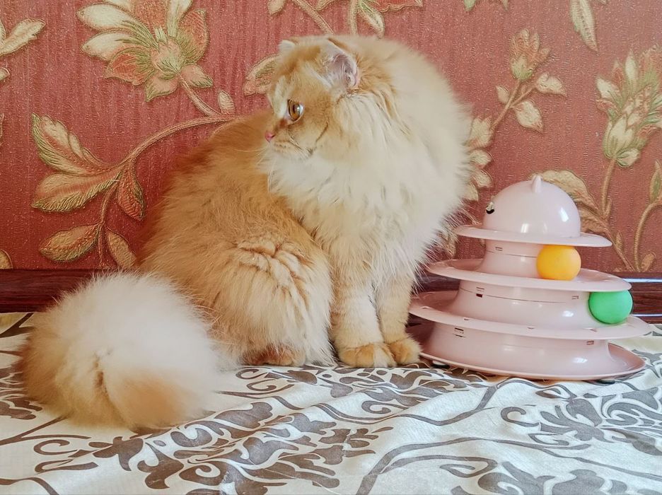 Временная скидка для страйтов