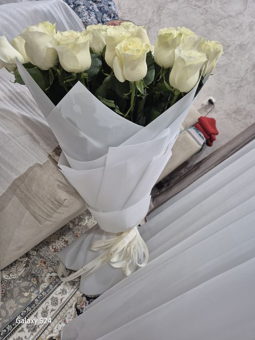 Белые метровые розы
