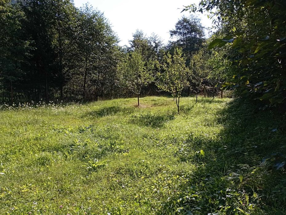 Teren +cladire de vanzare in Statiunea Voineasa