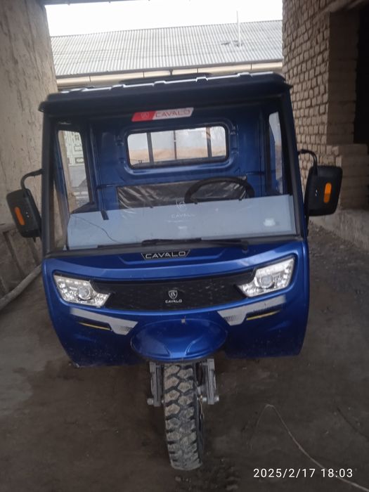 Mataruel cavalo brendi