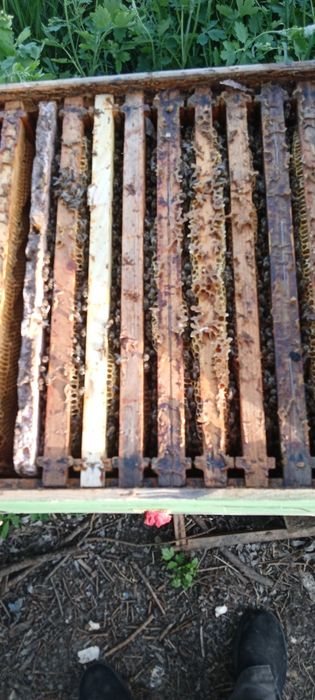 15 familii de vânzare