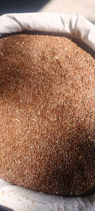 Qozogston Maxsulotlari 50 kg Alo sifatli%