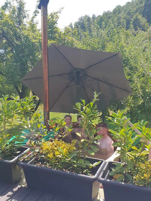 Cazare Vadu Crisului Casa Verde de Vadu - relaxare, wekend, munte