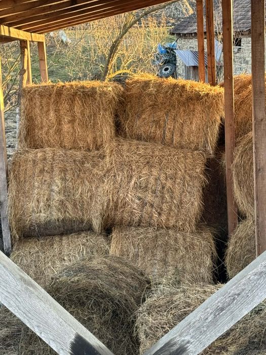 Vând 45 de baloți fân amestecat cu luțărnă 120×120