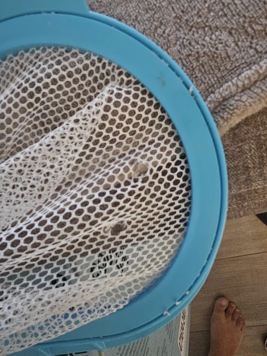 Piscină gonflabilă cu pompă