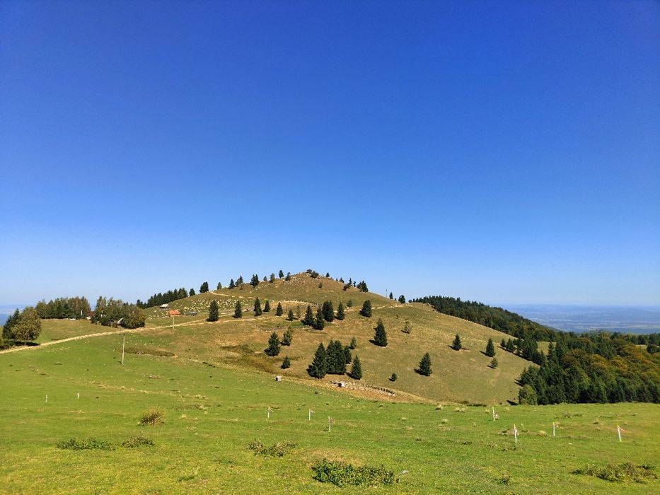 Vând parcele teren intravilan zona Paltinis