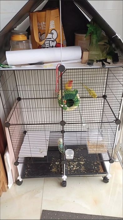 Большая клетка для попугаев