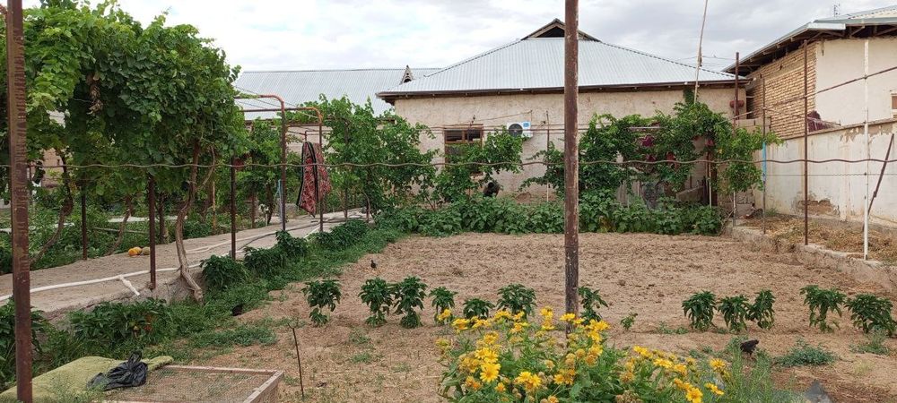 Dacha sotiladi  meraj 2