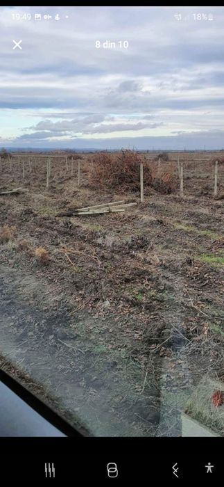 Vand spalieri pentru vie