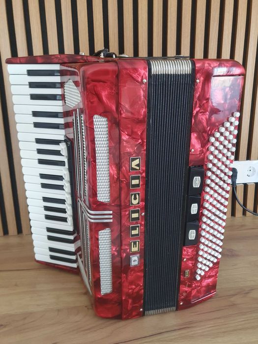 Acordeon Delicia 120 basi