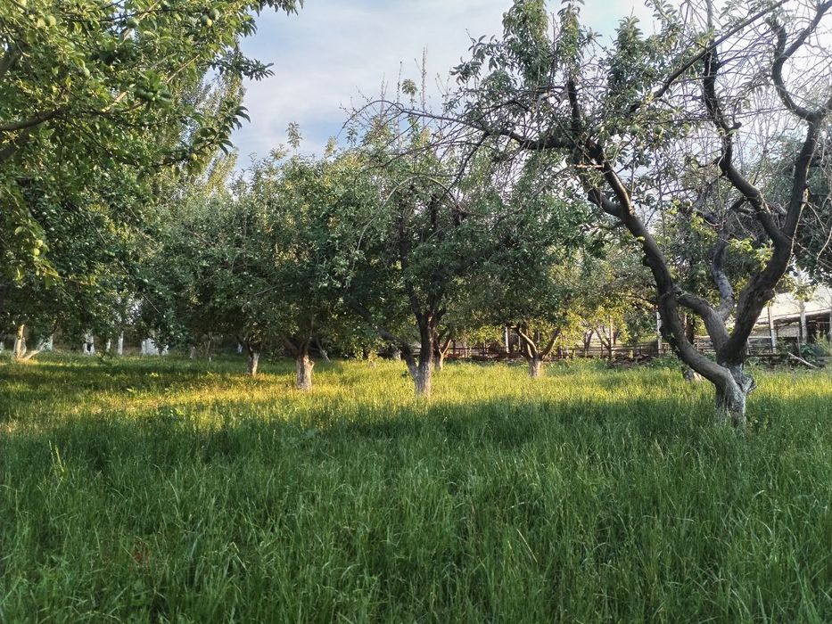 Продается земельный участок с жилым домом в городе Чирчик