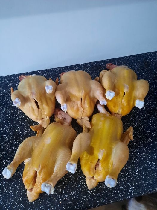 Мясо домашнего бройлера