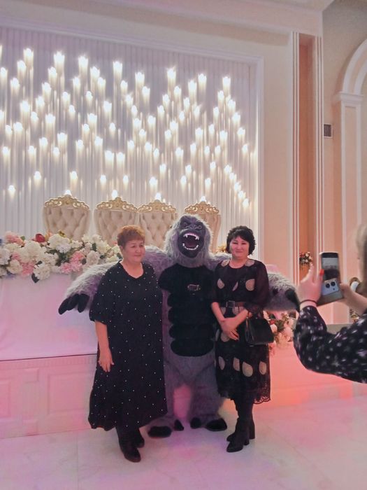 Аниматор Мишки Горилла Фантан