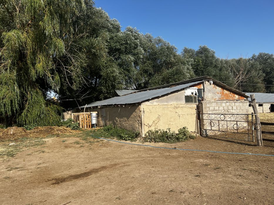 Продается Крестьянское хозяйство