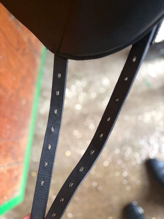 Sa dresaj Waldhausen 17.5