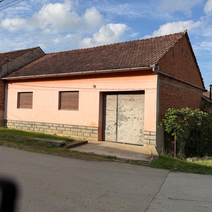 Casa cu gradina de vanzare