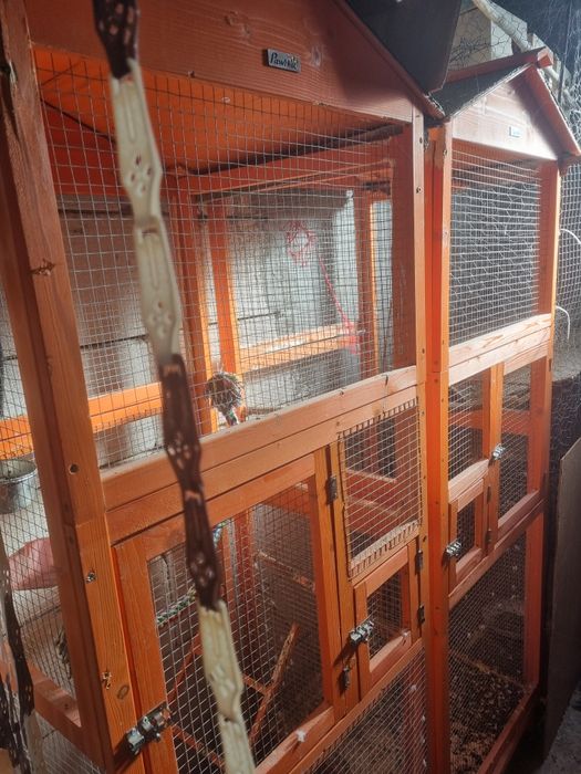 Vând 1 voliera de papagali păsări de talie mica