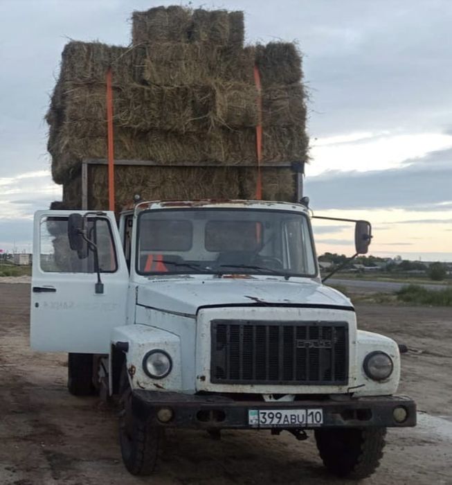 ГАЗ 2013 года,модель:3309