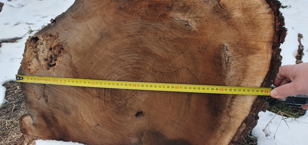 Vând Nuc  de 100 de ani