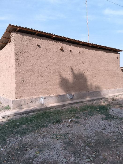 Участка сотлади 12сутик пискентдаа