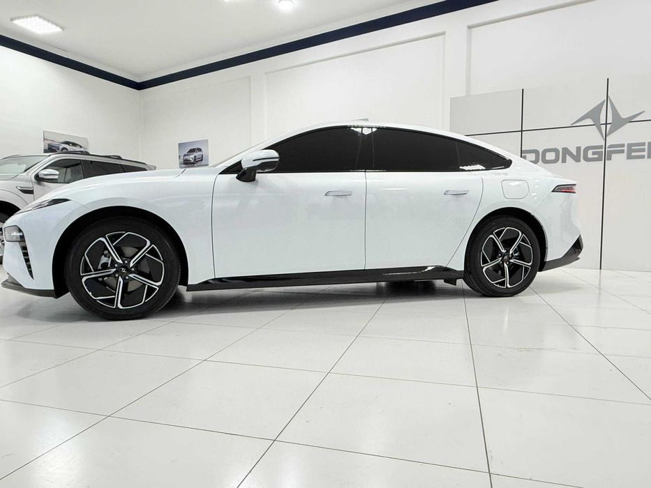 Dongfeng EP 007 (Full Elektr) 200kWt 272HP 620 PRO