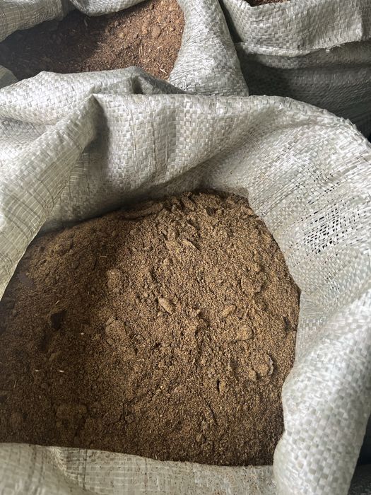 Продам пщеница лён шрот рапсовый гранула