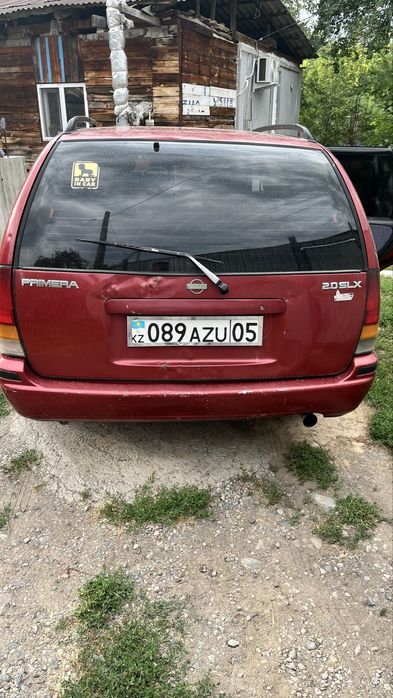 Продам живой нисан