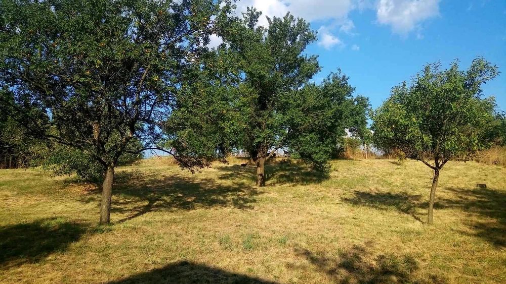 Продава се Парцел в с. Хераково, Област София-област - 1250 кв.м за 65 €/кв.м - Снимка #2