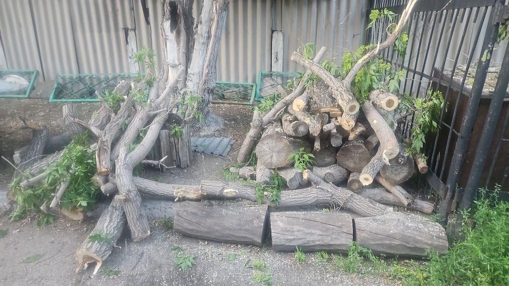 Дрова бесплатно сомавывоз