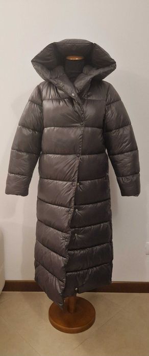 Canadiana  matlasata Mango