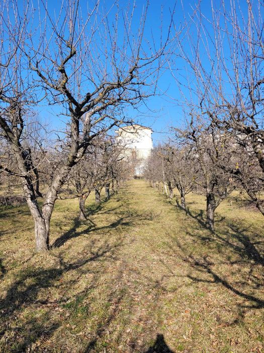 Teren intravilan cu suprafața de 6307 m² in Pucioasa