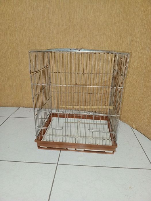 Qafas sotiladi holati yaxshi