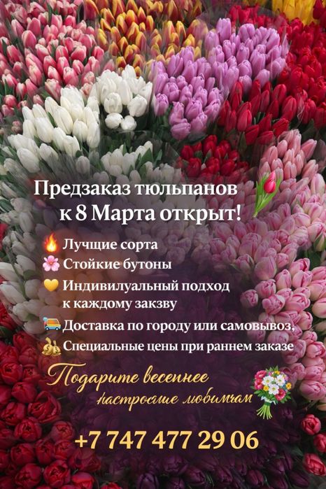 Тюльпаны в розницу