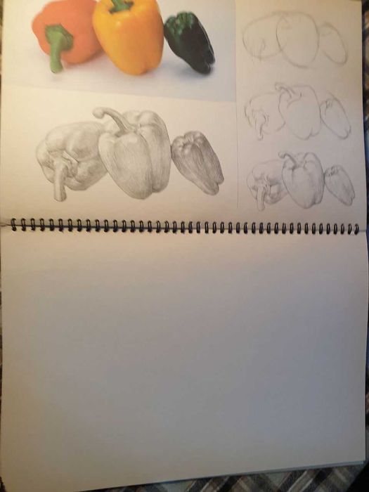 "Скетчбук предметов: 32 объекта для рисования"