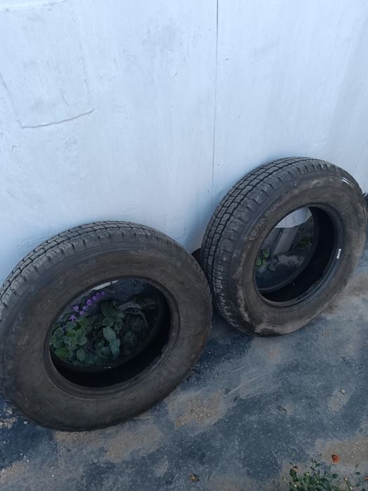 Продаю резину 195R15C