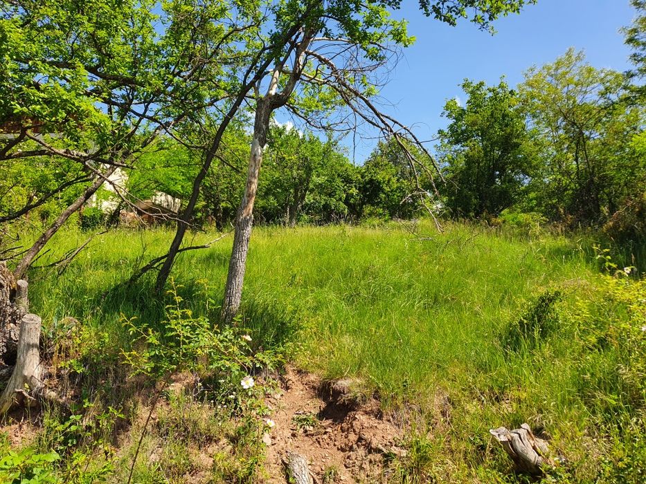 Парцел имот        .