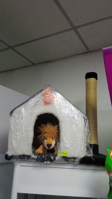 Зоотовары для животных