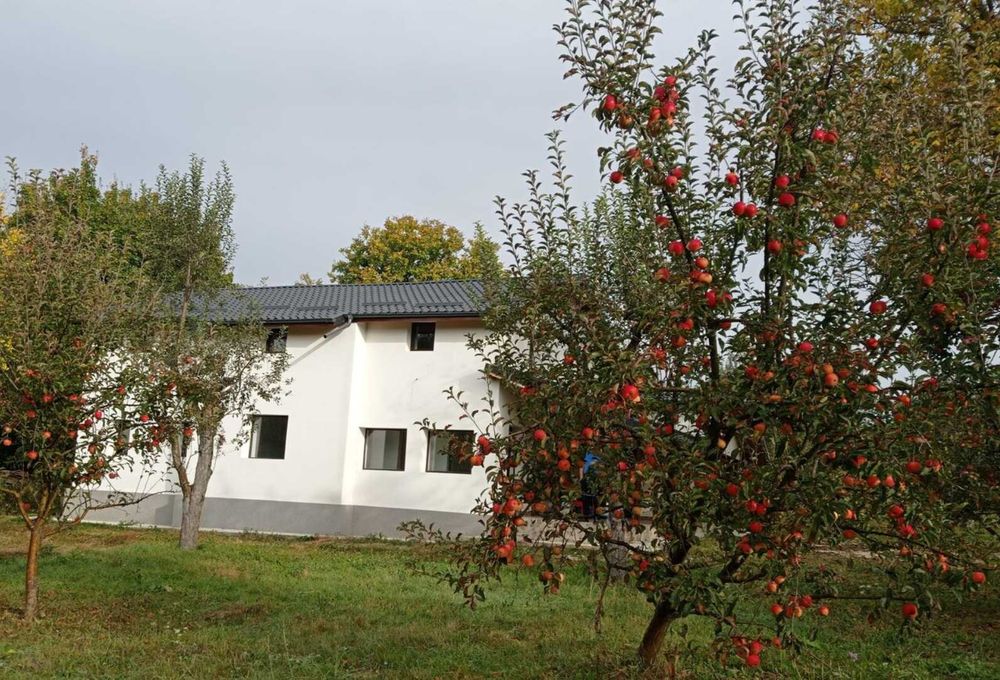 Casa de vanzare cu teren generos de 4700 mp