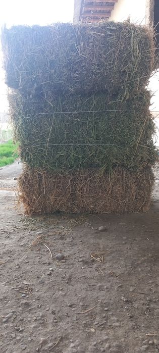 БЕДА ПРЕС 41000 сум