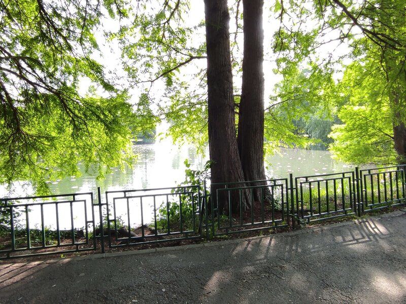Lacul Tei Parcul Circului