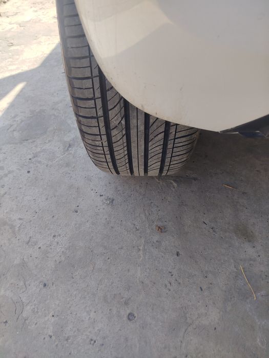 17 lik balon. Diskasi bilan.