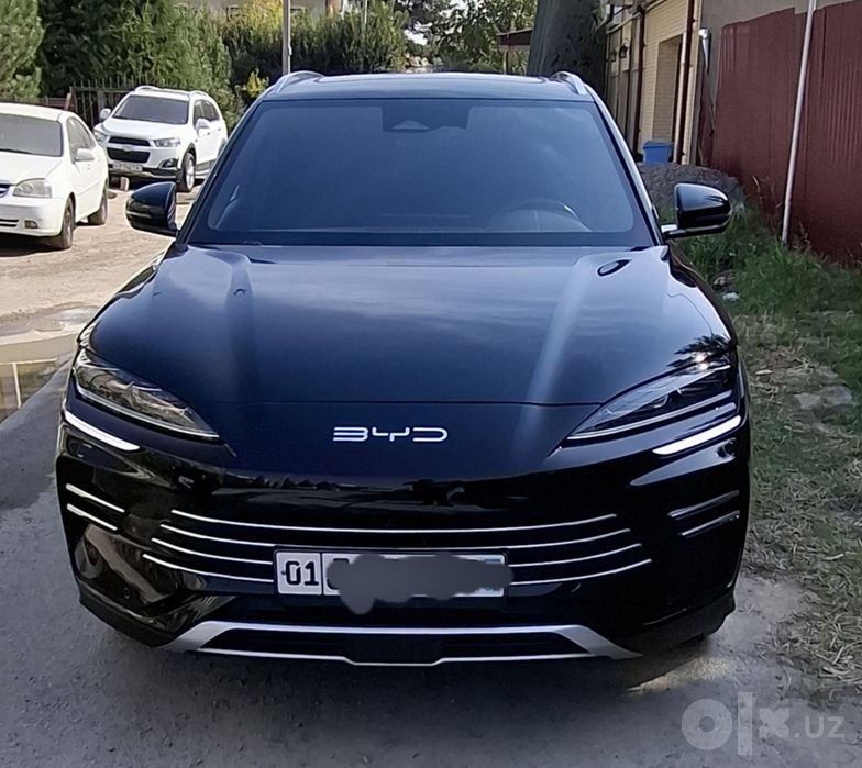 Byd song plus chimpion 110km