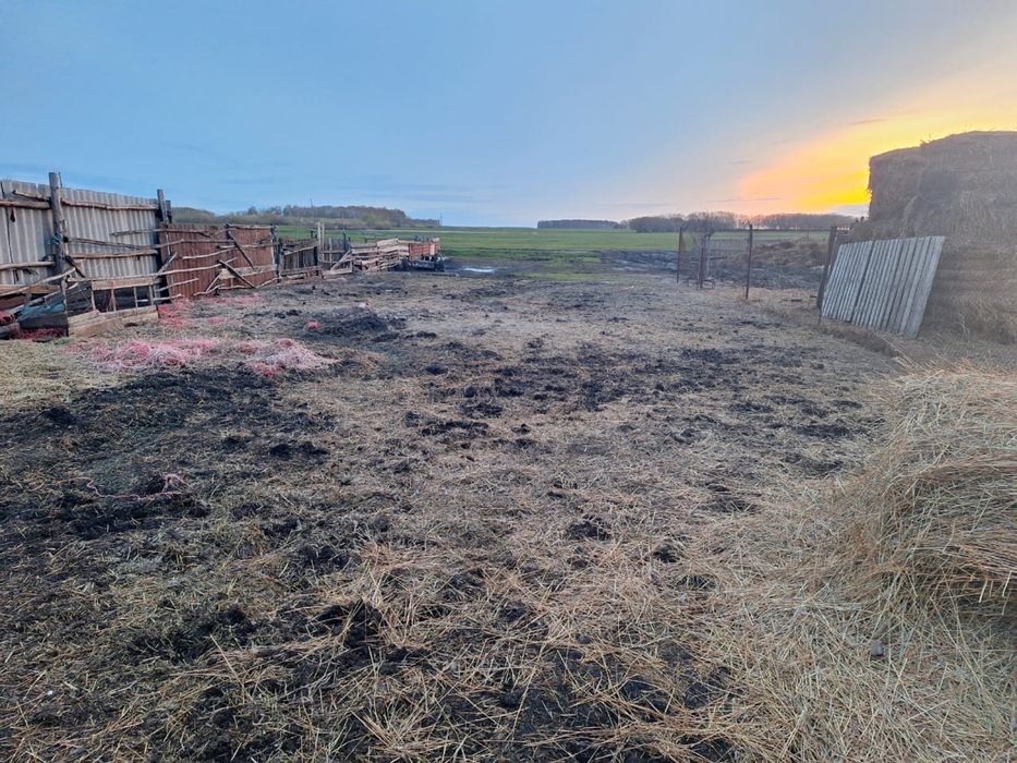 Продам дом и все остальное вместе  , есть торг