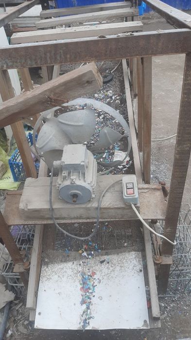 Семичка тозаловчи елак